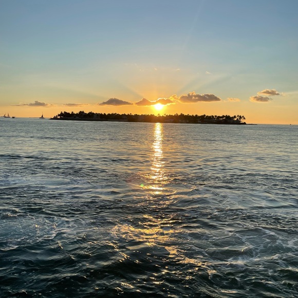 Kids bikini bottom - Picture 5 of 5